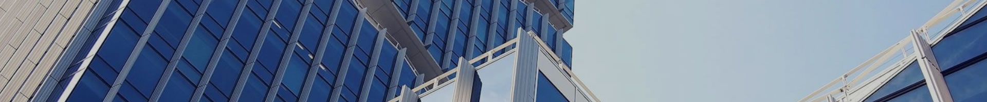Company Profile